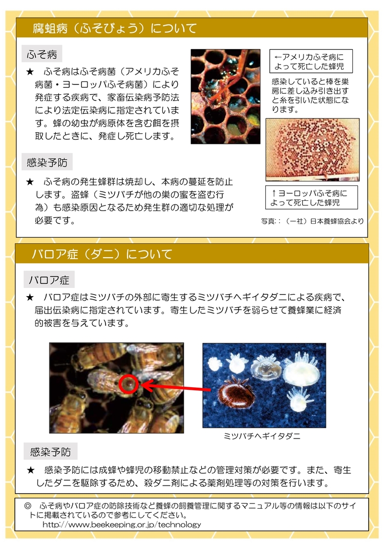 ミツバチを飼育する方々へ2