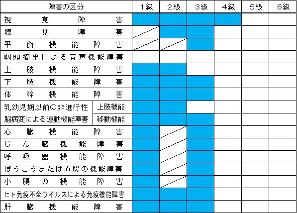 障害減免_等級_介護者